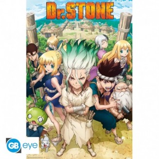 DR STONE - Poster -...