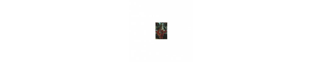 Dragon Shield - 100 Matte Art Sleeves - Emperor Scion : Portrait